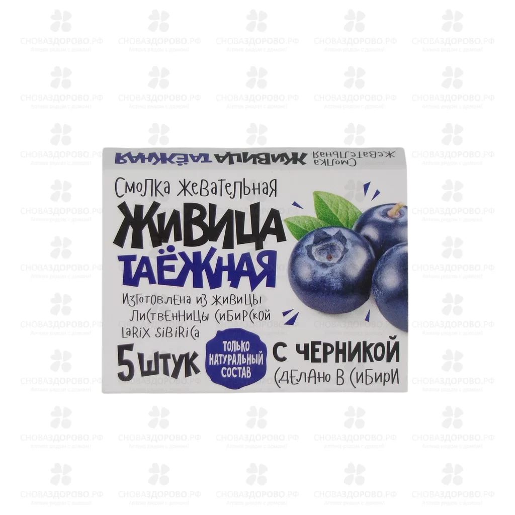 Смолка жевательная "Живица таежная" №5 черника ✅ 29051/06953 | Сноваздорово.рф