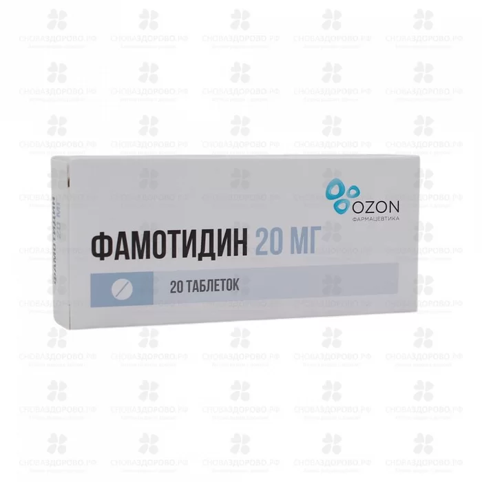 Фамотидин таблетки покрытые пленочной оболочкой 20мг №20 ✅ 04905/06162 | Сноваздорово.рф