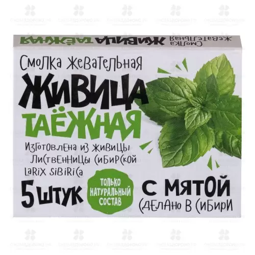 Смолка жевательная "Живица таежная" №5 мята ✅ 17948/06953 | Сноваздорово.рф