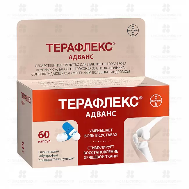 Терафлекс Адванс капсулы 250мг+100мг+200мг №60 ✅ 13352/06215 | Сноваздорово.рф