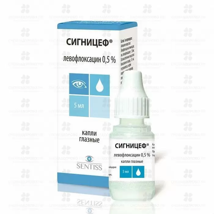 Сигницеф капли глазные 0,5% флакон/капельница 5мл ✅ 20237/07002 | Сноваздорово.рф