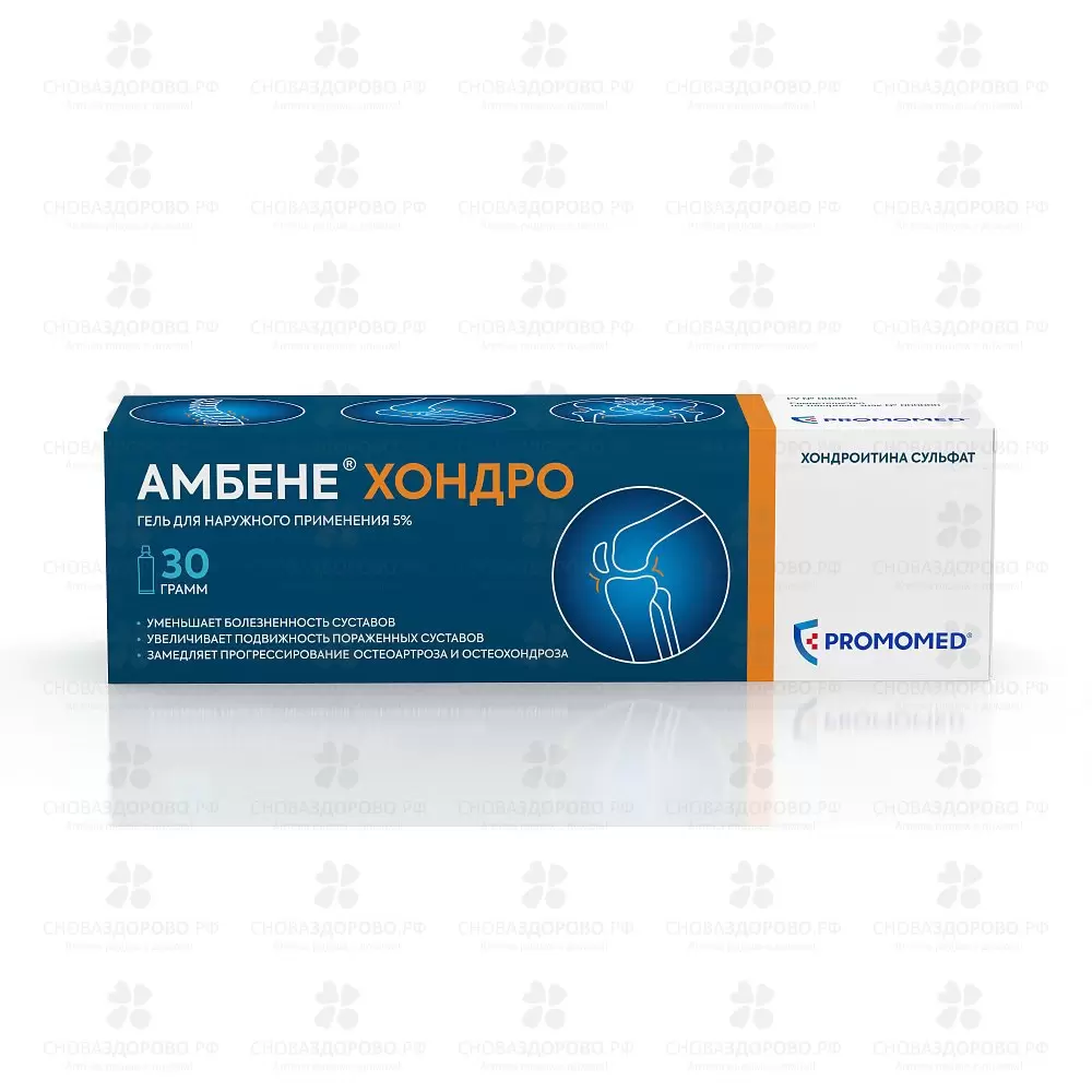 Амбене Хондро гель для наружного применения 5% 30г ✅ 36448/06082 | Сноваздорово.рф