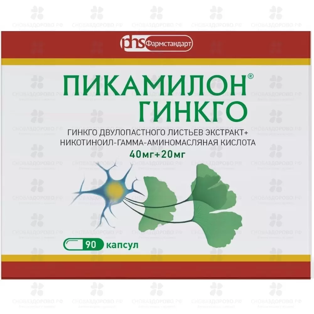 Пикамилон ГИНКГО капсулы 40мг+20мг №90 ✅ 41083/06920 | Сноваздорово.рф