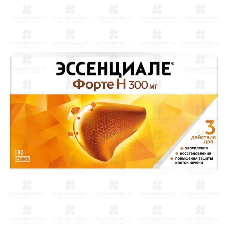 Эссенциале форте Н капсулы 300мг №180 ✅ 31709/06692 | Сноваздорово.рф