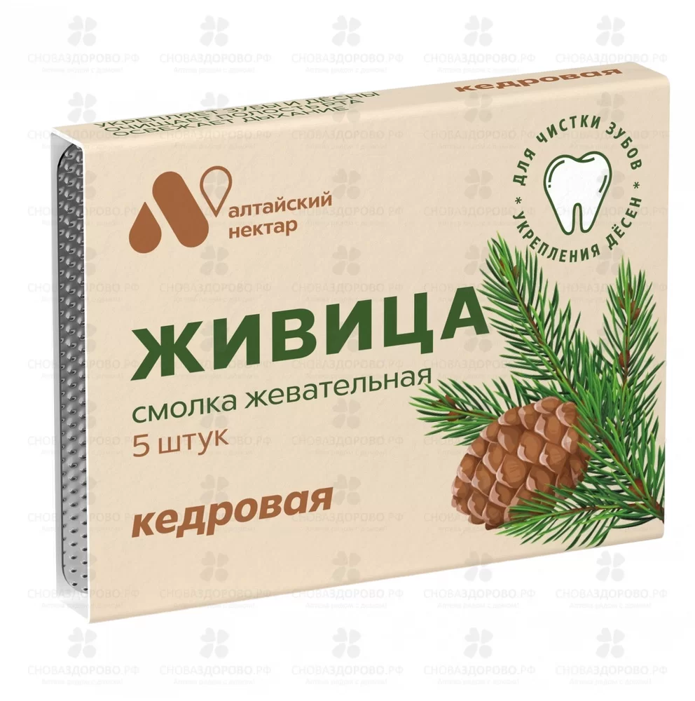 Смолка жевательная "Живица" с кедром №5 ✅ 36909/06232 | Сноваздорово.рф