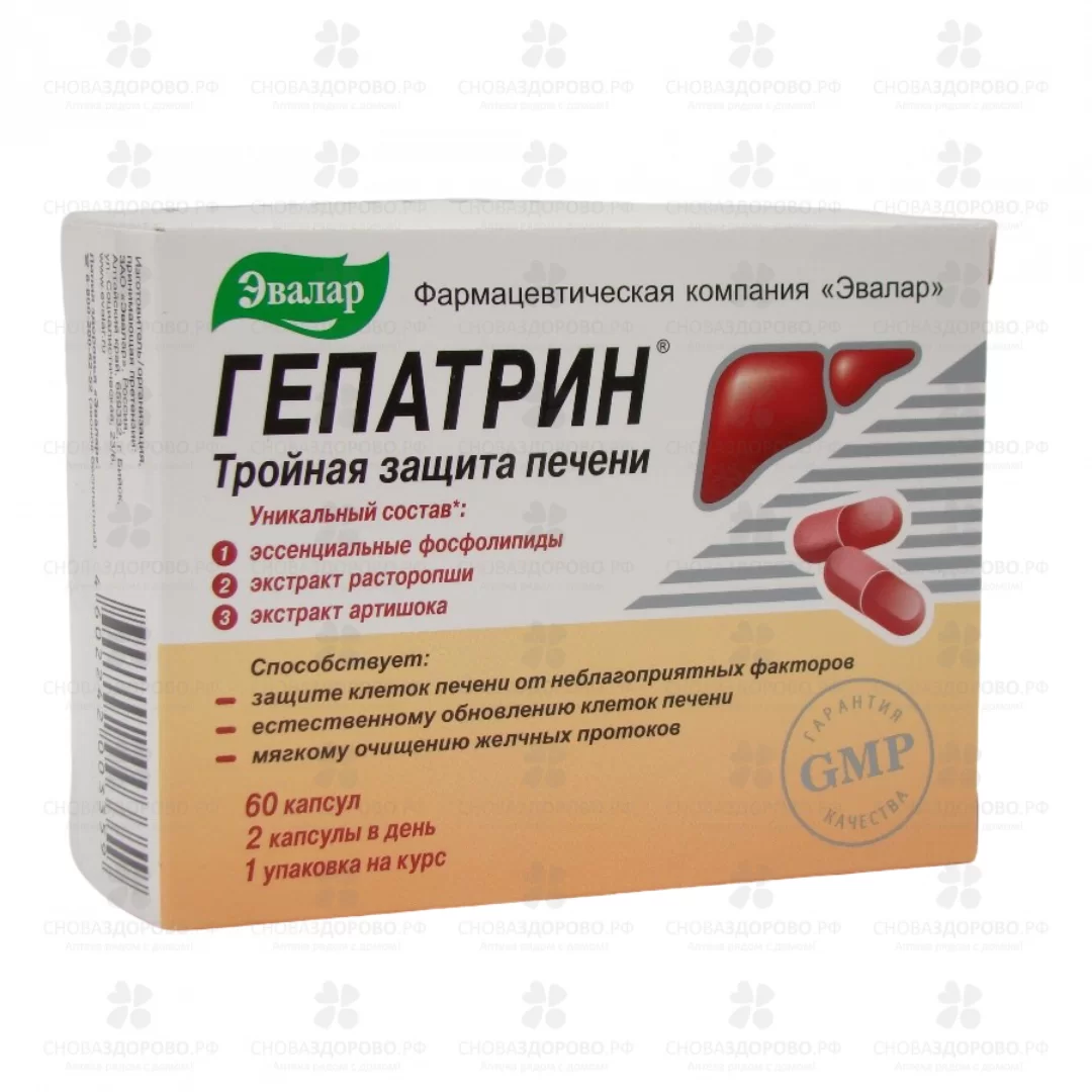 Гепатрин капсулы №60 (БАД) ✅ 22060/06218 | Сноваздорово.рф