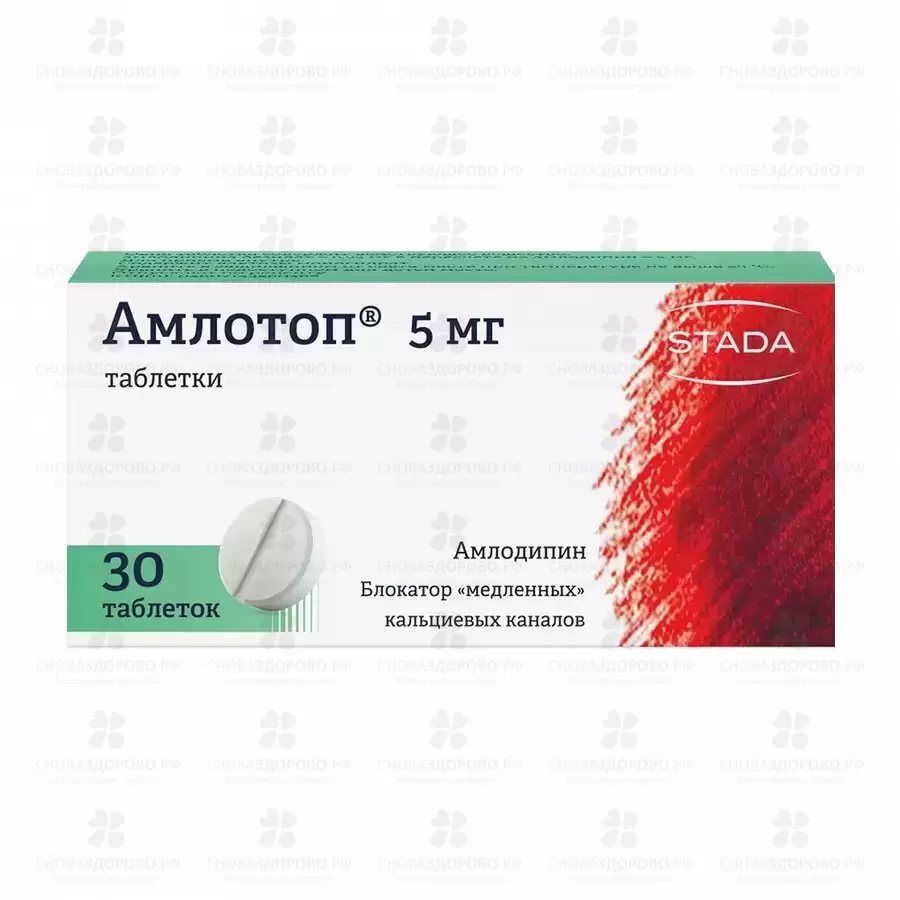 Амлотоп таблетки 5мг №30 ✅ 09212/06056 | Сноваздорово.рф