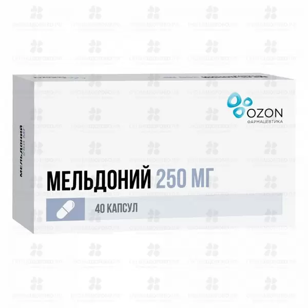 Мельдоний капсулы 250мг №40 ✅ 30739/06162 | Сноваздорово.рф