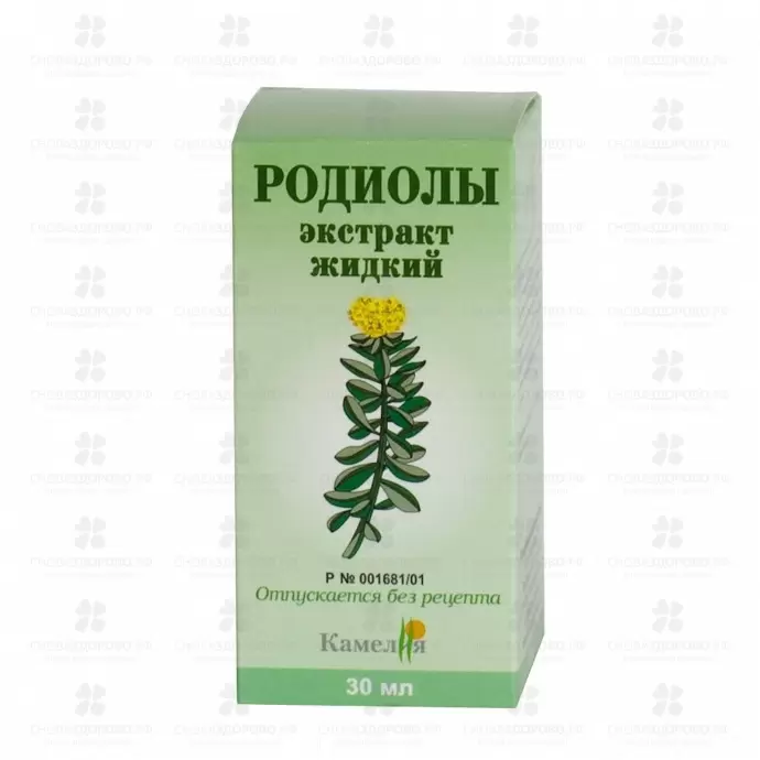Родиолы экстракт жидкий 30мл флакон ✅ 00408/06261 | Сноваздорово.рф