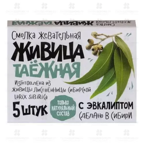 Смолка жевательная "Живица таежная" №5 эвкалипт ✅ 21293/06953 | Сноваздорово.рф