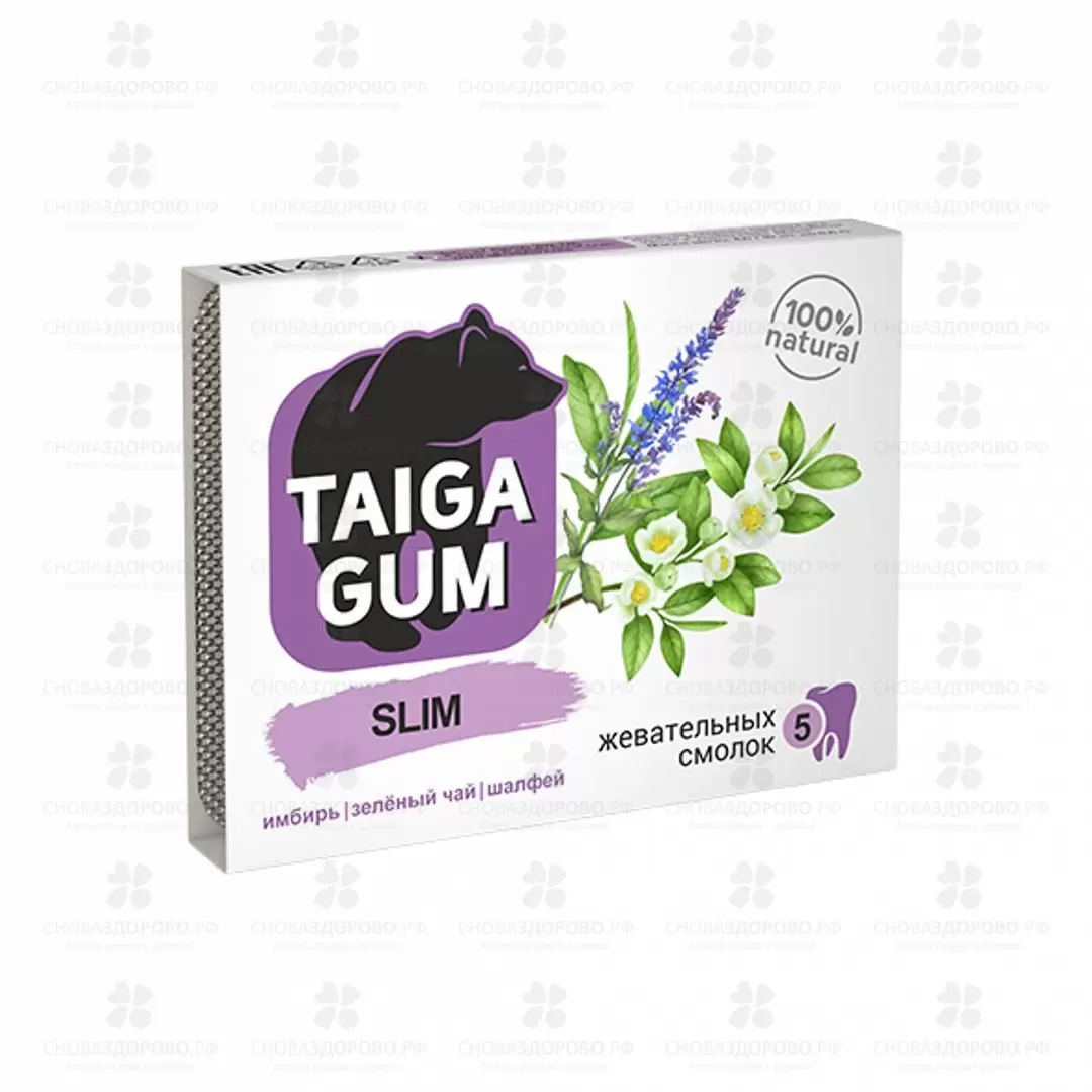 Смолка жевательная Тайга Гум "SLIM" №5 (экстракт имбиря/зеленого чая/шалфея) ✅ 36751/06232 | Сноваздорово.рф