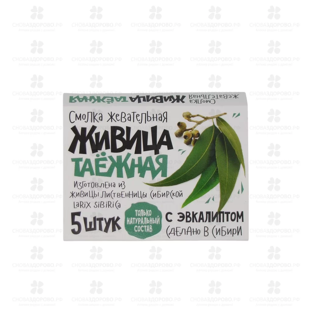 Смолка жевательная "Живица таежная" №5 эвкалипт ✅ 21293/06953 | Сноваздорово.рф