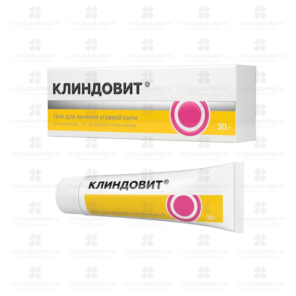 Клиндовит гель для наружного применения 1% 30г ✅ 20947/06065 | Сноваздорово.рф