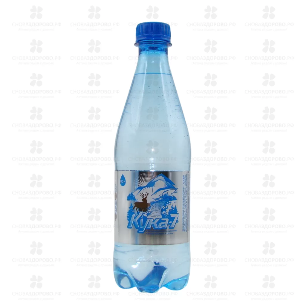 Вода минеральная Кука 7 лечебно-столовая газированная 500мл п/э ✅ 38746/09049 | Сноваздорово.рф