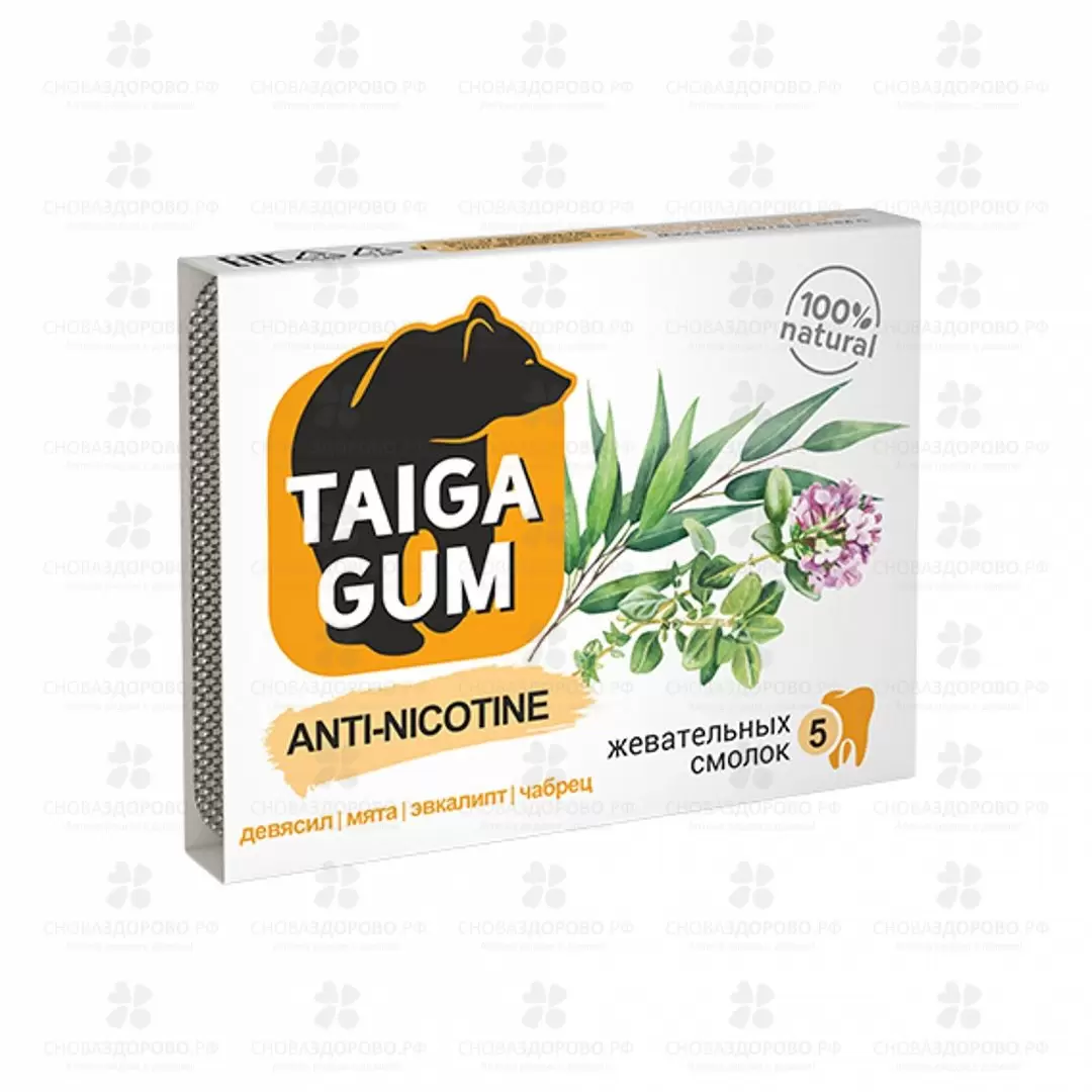 Смолка жевательная Тайга Гум "ANTI-NICOTINE" №5 (экстракт девясила/мяты/эвкалипта/чабреца/аира) ✅ 36752/06232 | Сноваздорово.рф