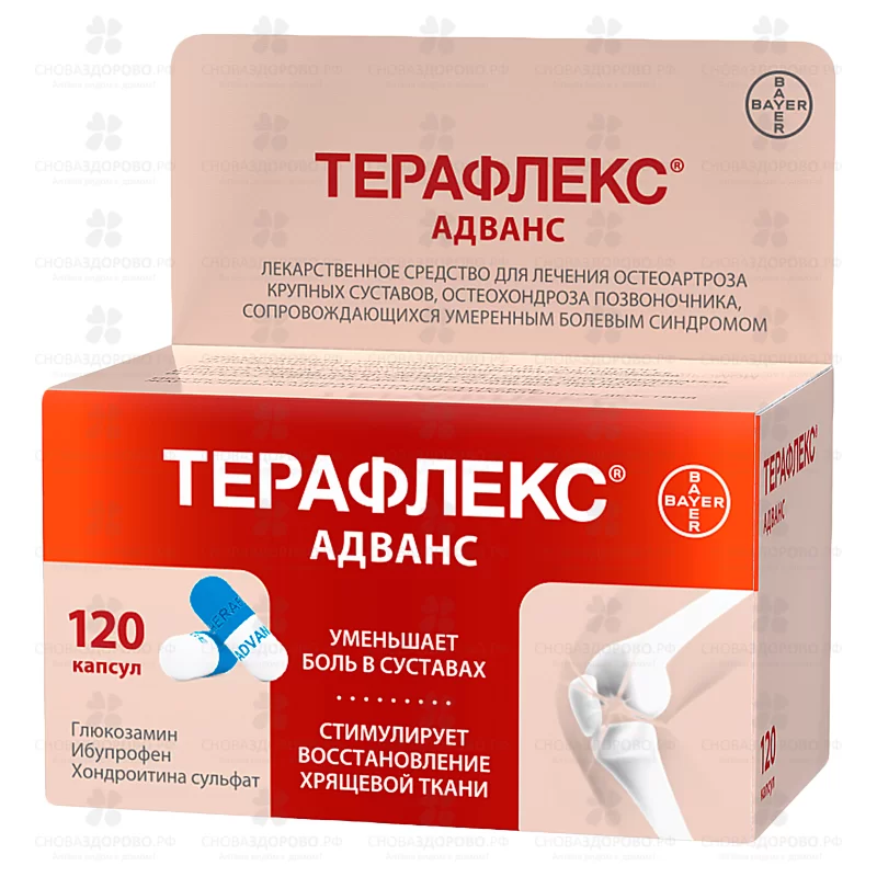 Терафлекс Адванс капсулы 250мг+100мг+200мг №120 ✅ 13351/06130 | Сноваздорово.рф
