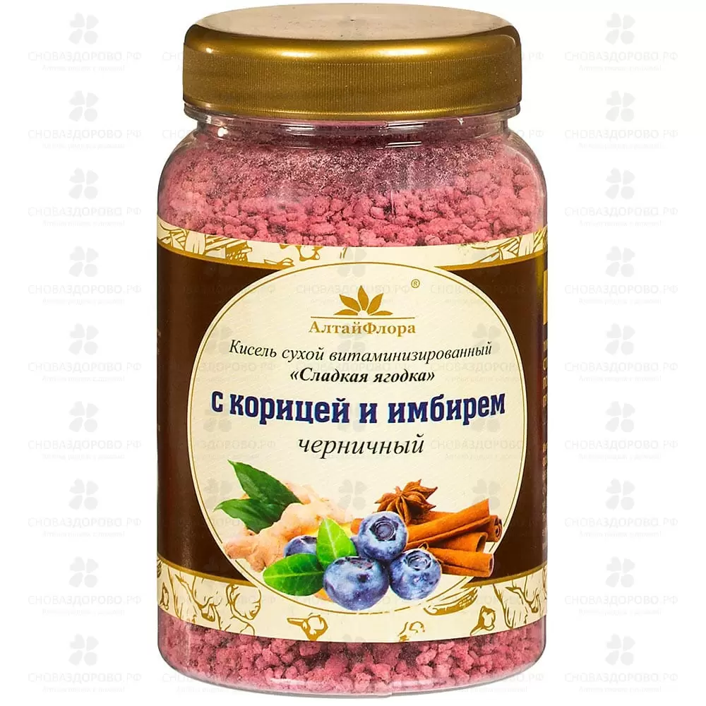 Кисель Имбирный с черникой и корицей 250г ✅ 28102/06656 | Сноваздорово.рф