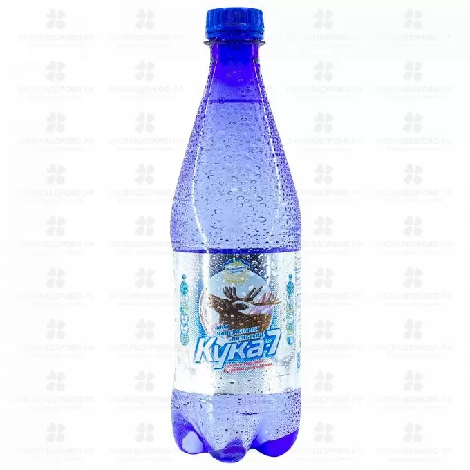 Вода минеральная Кука 7 лечебно-столовая газированная 500мл п/э ✅ 38746/09049 | Сноваздорово.рф