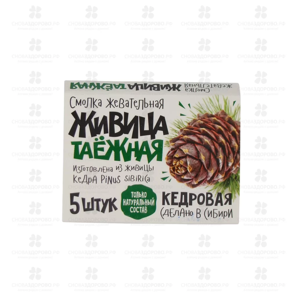 Смолка жевательная "Живица таежная" №5 кедр ✅ 21292/06953 | Сноваздорово.рф