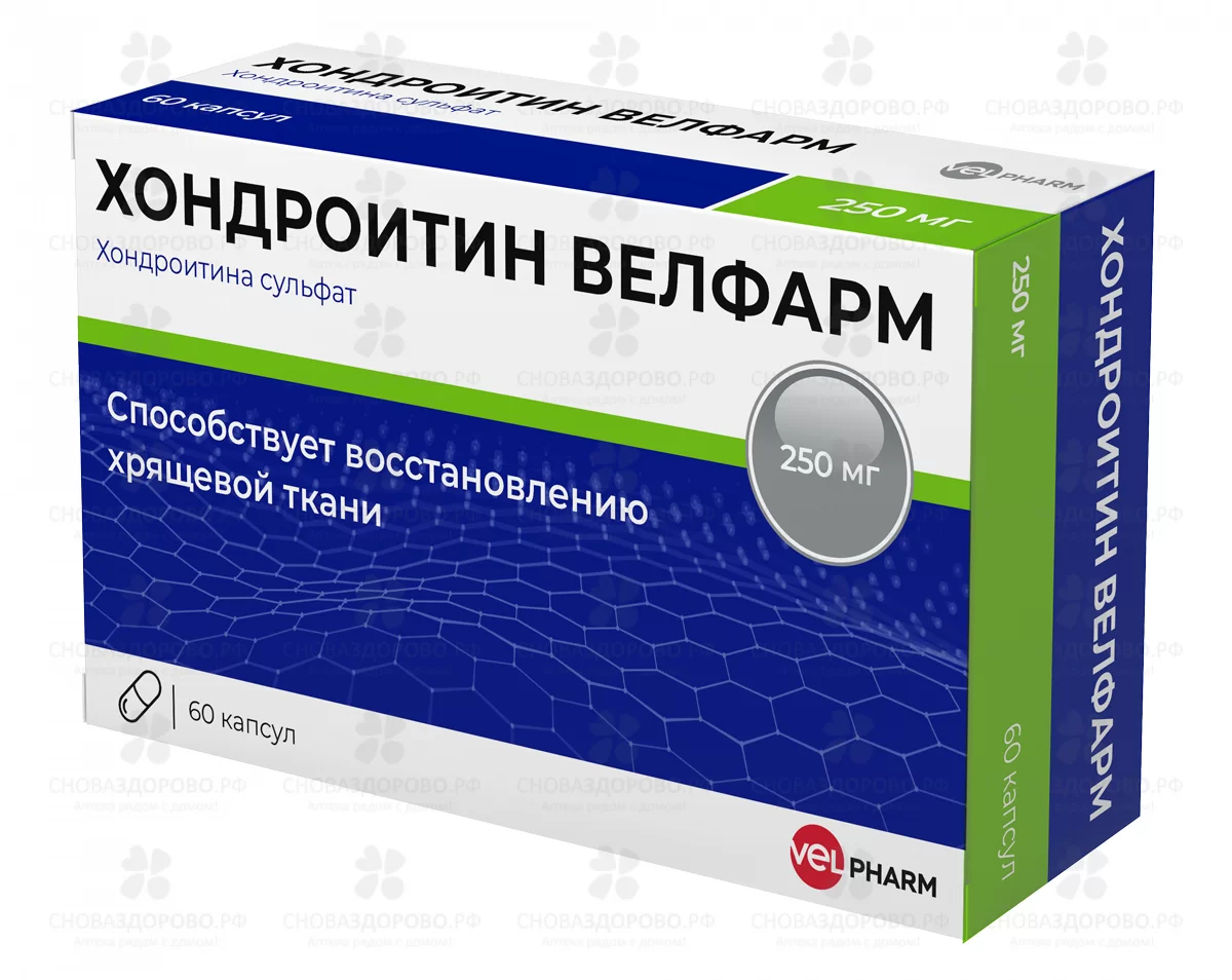 Хондроитин Велфарм капсулы 250мг №60 ✅ 37856/07186 | Сноваздорово.рф