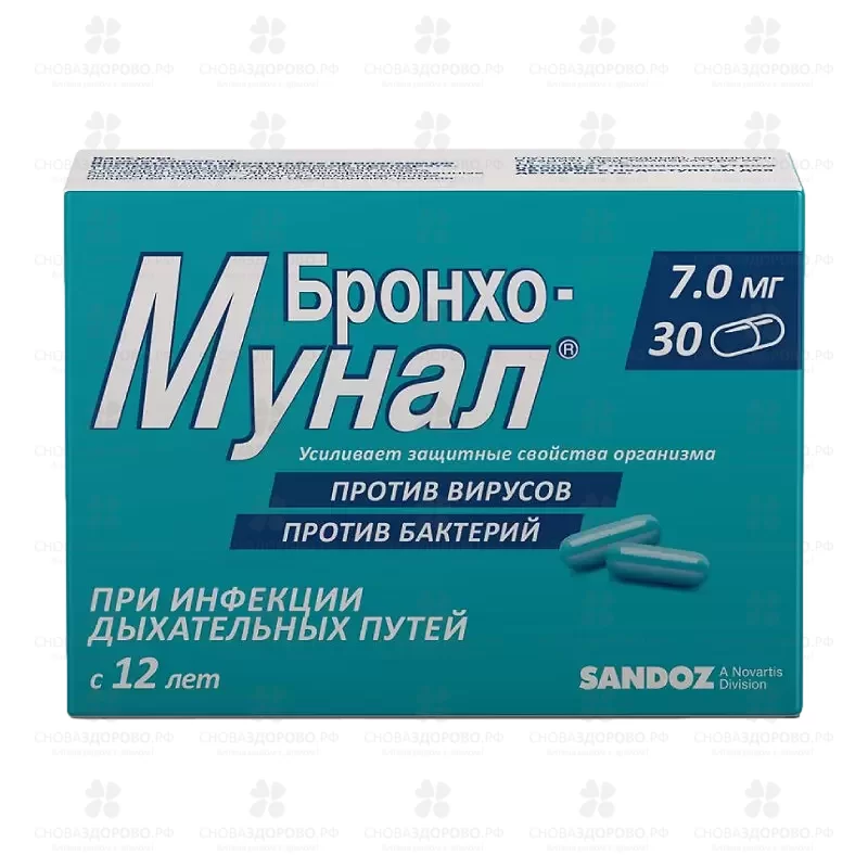Бронхо-мунал капсулы 7мг №30 ✅ 16876/06286 | Сноваздорово.рф