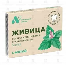Смолка жевательная "Живица" с мятой №5 ✅ 40816/06232 | Сноваздорово.рф
