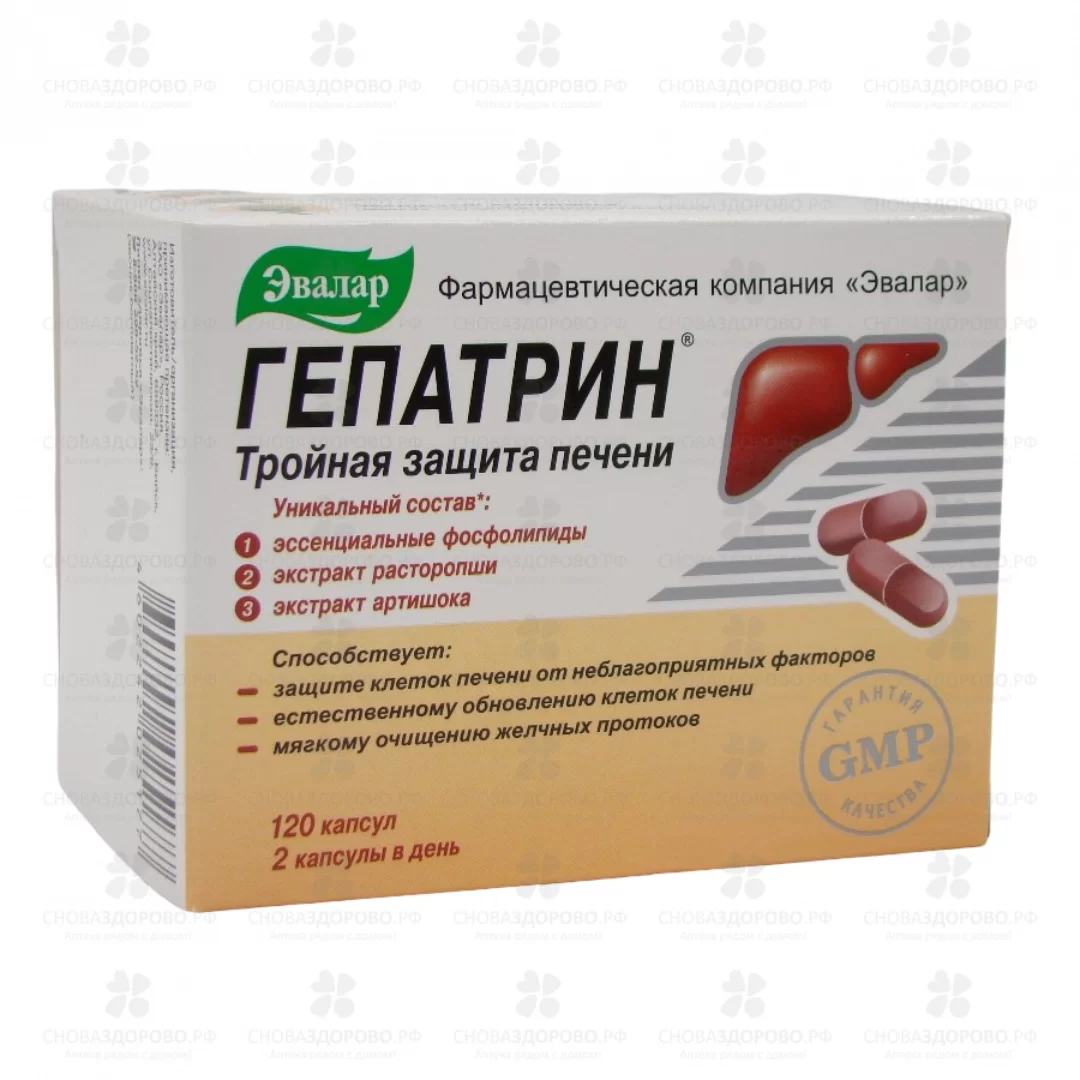 Гепатрин капсулы №120 (БАД) ✅ 35019/06218 | Сноваздорово.рф