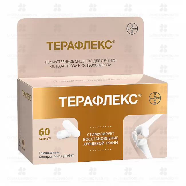 Терафлекс капсулы 500мг+400мг №60 ✅ 08066/06130 | Сноваздорово.рф