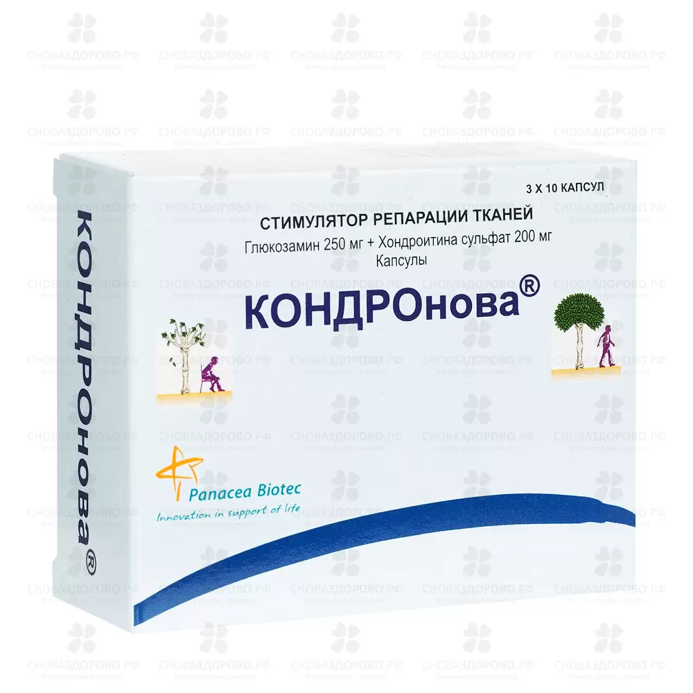 КОНДРОнова капсулы 200мг+250мг №30 ✅ 35622/06853 | Сноваздорово.рф