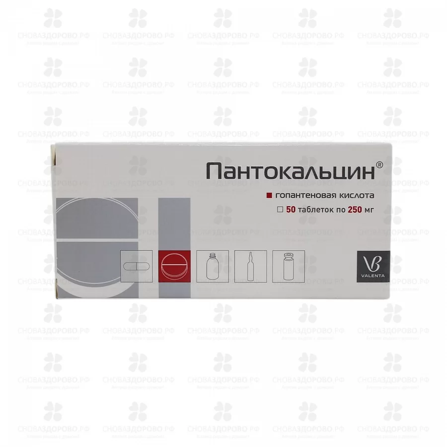 Пантокальцин таблетки 250мг №50 ✅ 06521/06085 | Сноваздорово.рф