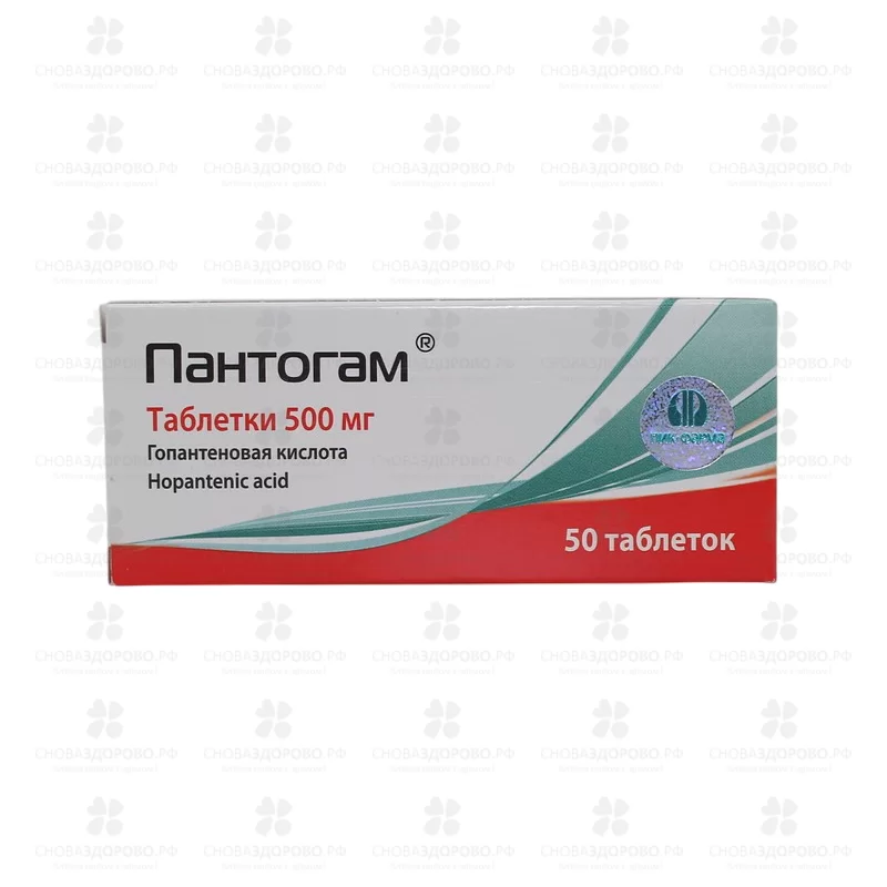 Пантогам таблетки 500мг №50 ✅ 20013/06169 | Сноваздорово.рф
