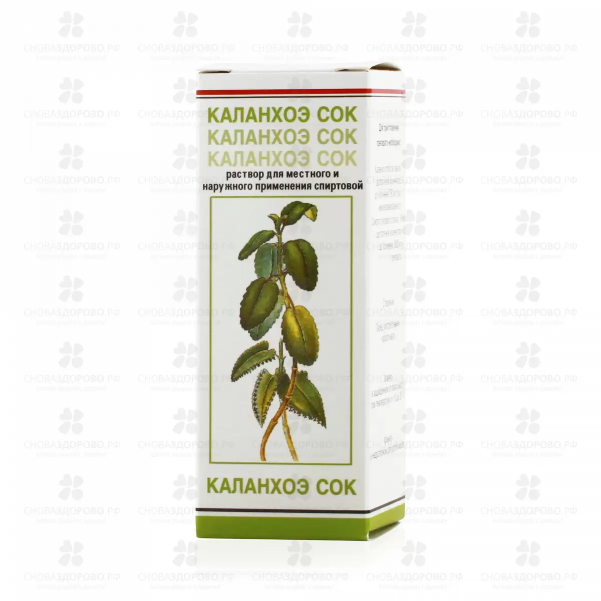 Каланхоэ сок раствор для местного наружного применения спиртовой 20 мл флакон ✅ 02047/06737 | Сноваздорово.рф