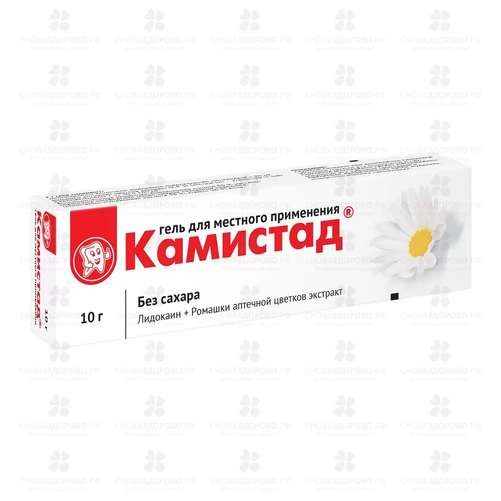Камистад гель для местного применения 20мг/г+185мг/г 10г  ✅ 00426/06062 | Сноваздорово.рф